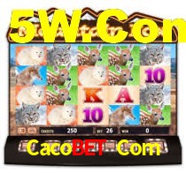 Cacobet Com: Seu Cassino Premiado com Pagamentos Rápidos